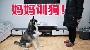 狗哥爆料新鞋视频播放,新鞋视频播放，潮流新品抢先看！  第1张