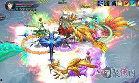 九尾最新爆料视频大全,揭秘幕后真相与精彩瞬间  第2张