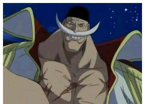 白胡子爆料动画视频,动画视频中的惊人爆料大揭秘  第1张