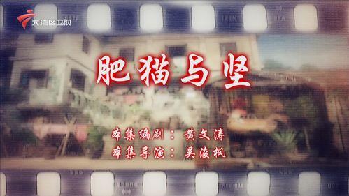 七十二家租客在线观看,温情回忆，笑中带泪的都市生活画卷  第1张